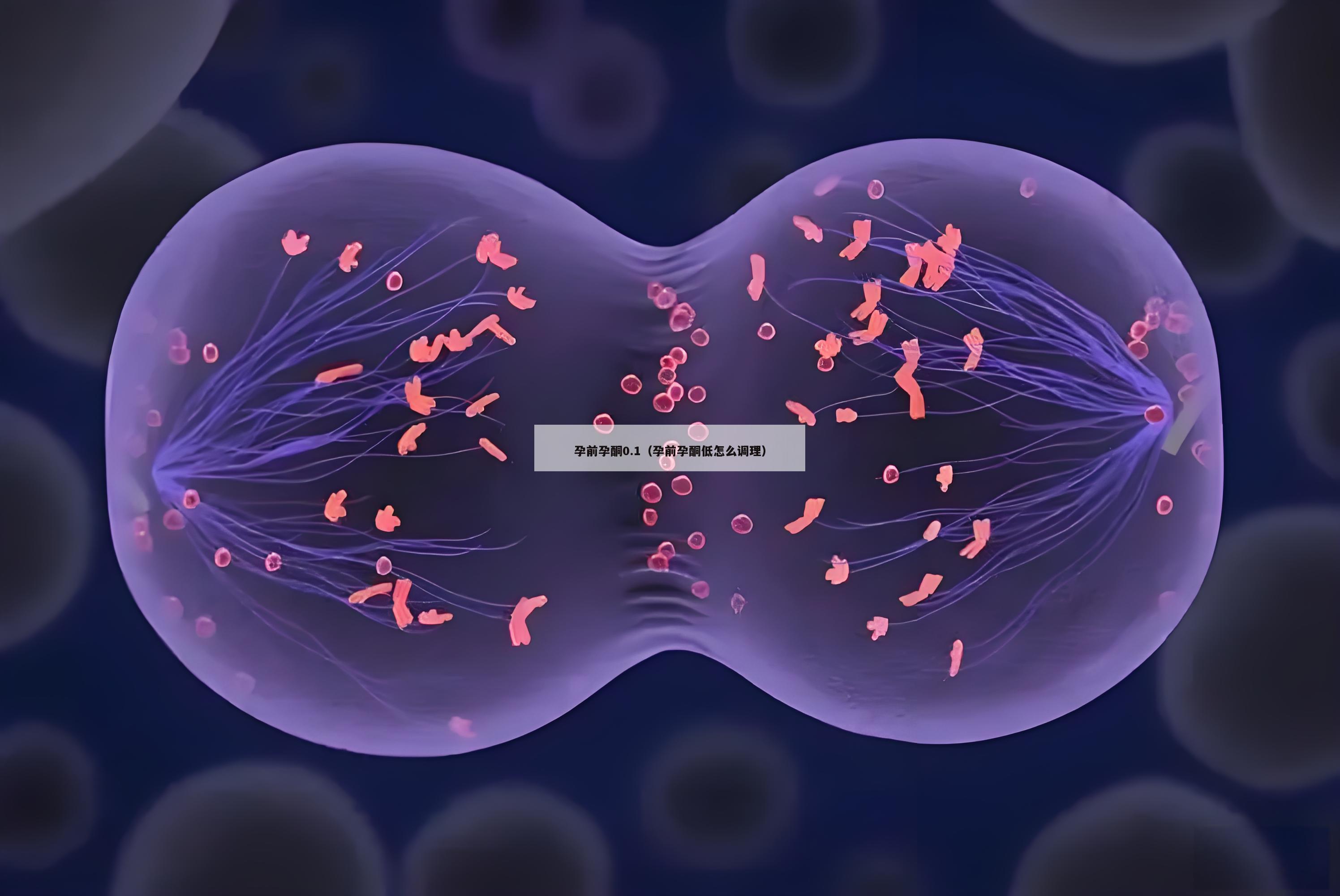 孕前孕酮0.1（孕前孕酮低怎么调理）